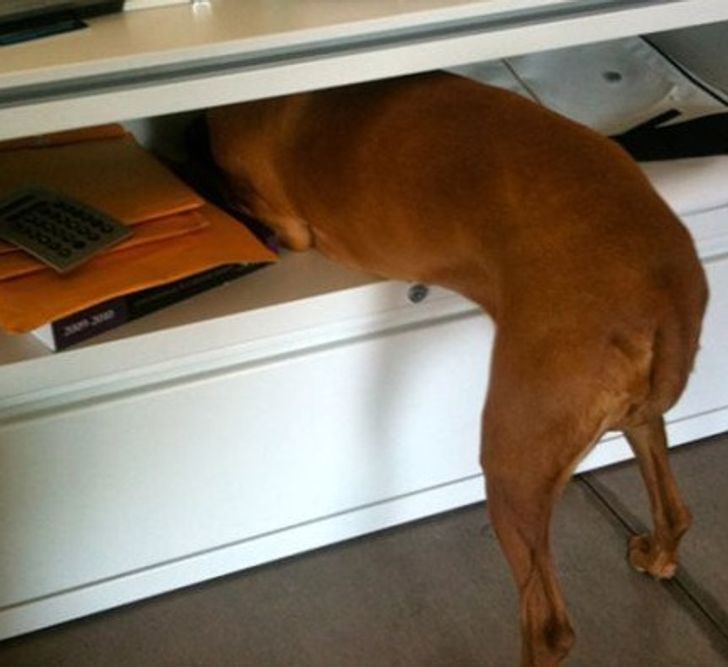 6643b95471b0c700a2cbaf5a56