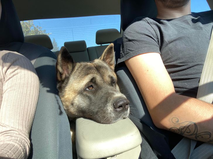 66447558fdb5fa6b9d8b53d92a