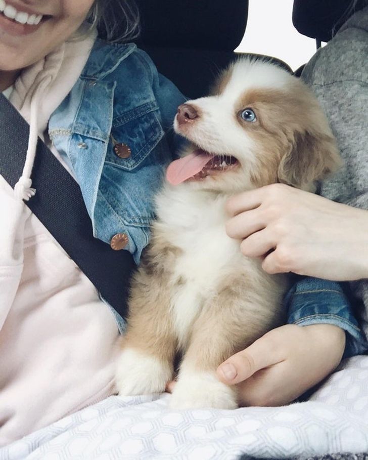 664b7d56b1b16a9a64a4b32fb9