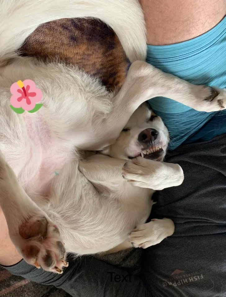 665077510f959b8b154d6dbce2