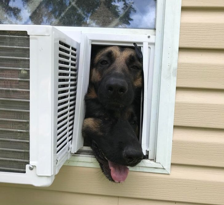 6651435253b8a1d496690aa35d