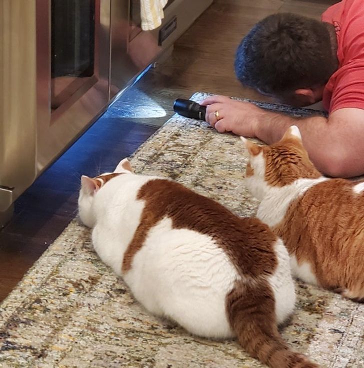 665477567983935d5afef6bd1a