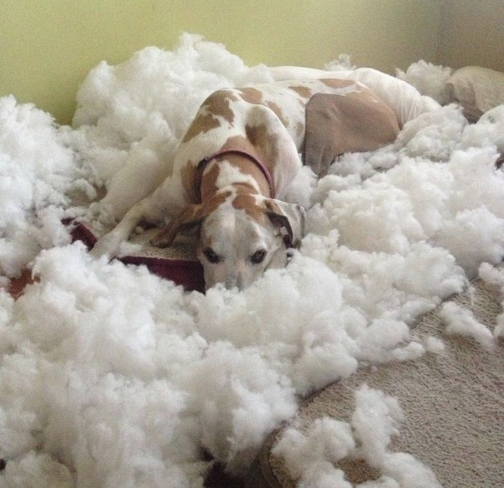 665fdc50888123dbf286683a8c