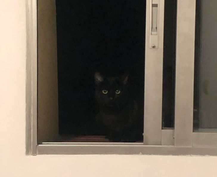 66620a5554b013f604bd635fe6 66620a5554b013f604bd635fe6