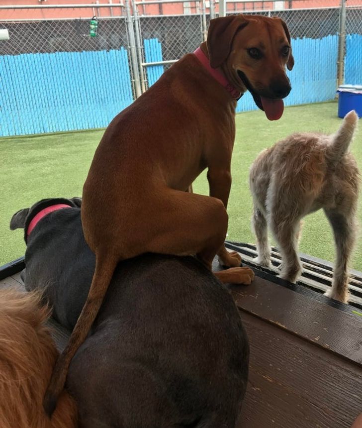 6669bf5cfd83778b2e6fb5accc