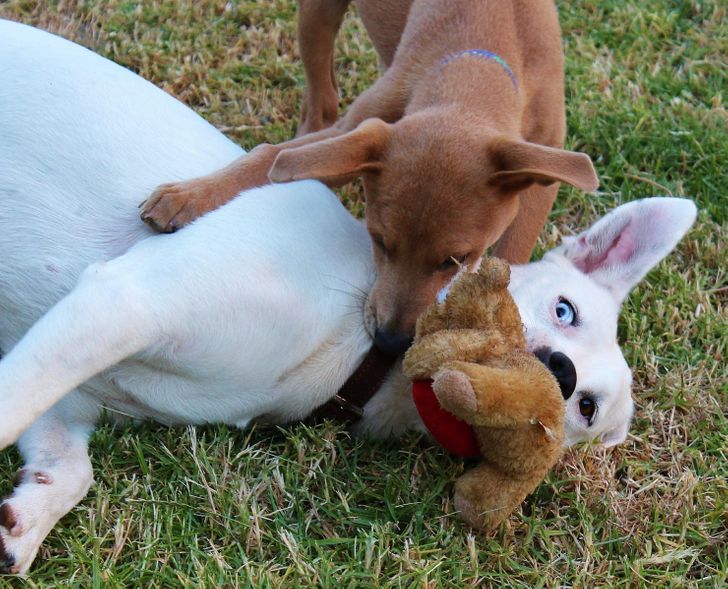 6677fa5bf9a62bd80eae6d0559