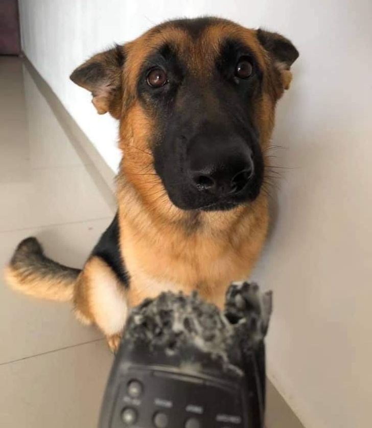 668018518ea974ff3364085c7e