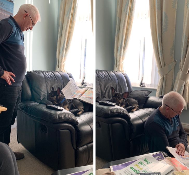 668080500484da590a3de31c6d