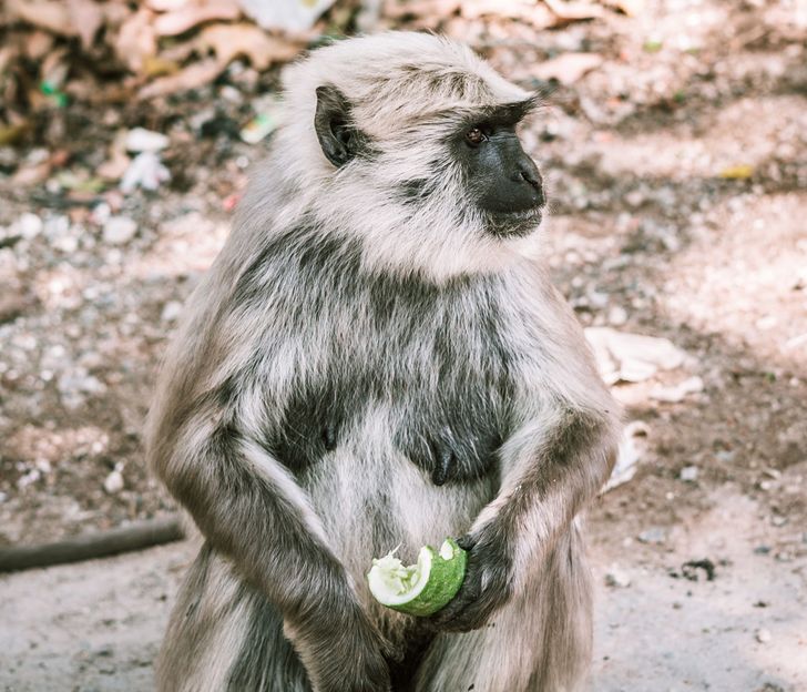 66863958f59ceb01fdc3f454a5