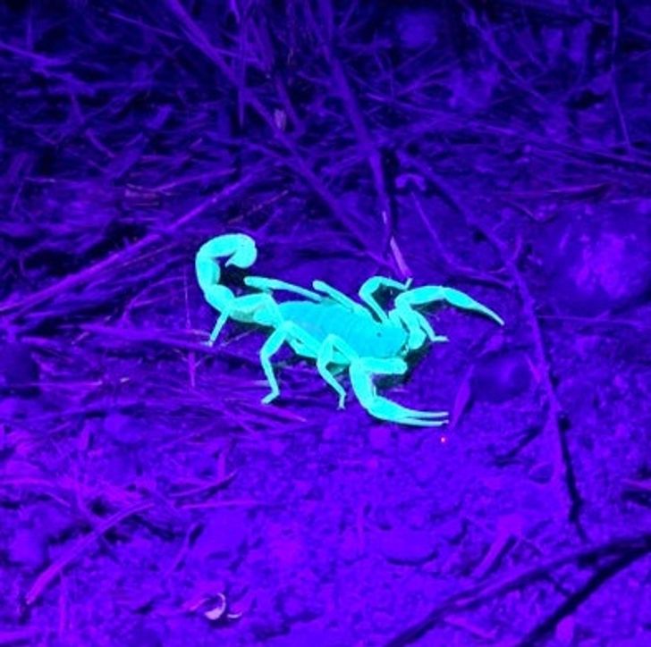 66914d55c7b38bd9fb7fc6f068