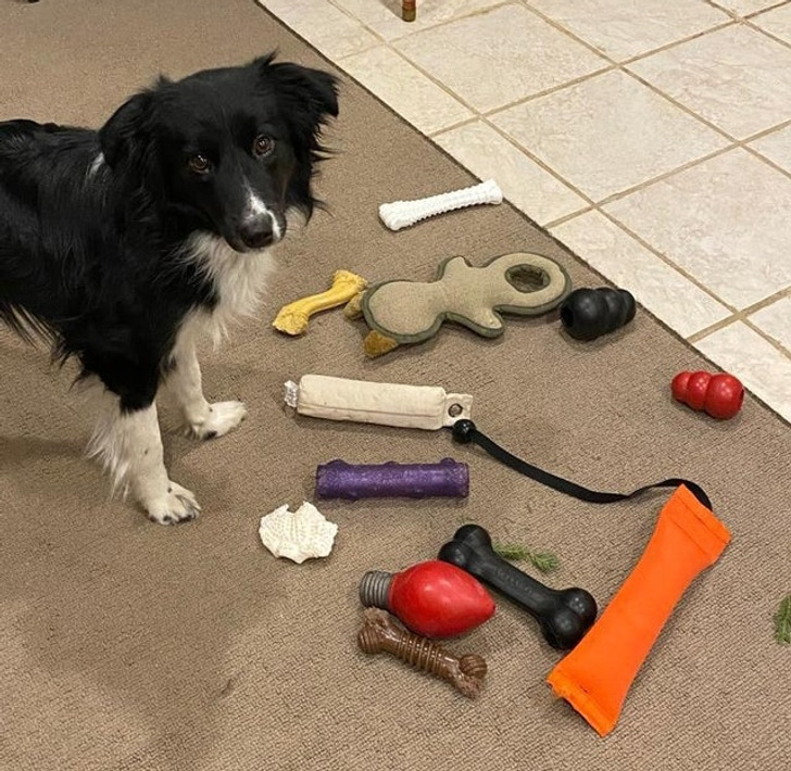 6696dc50fa975228e2c3d1f815 6696dc50fa975228e2c3d1f815