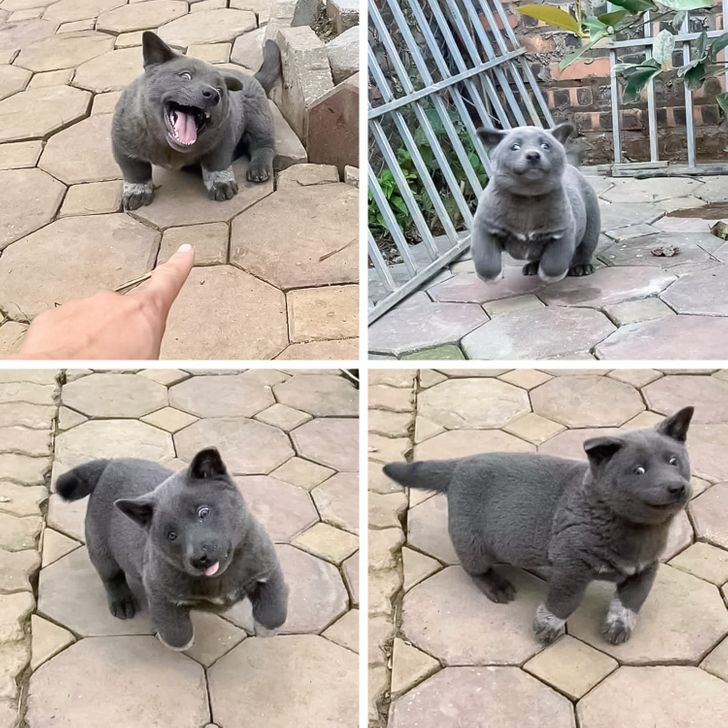 669f06514983f51748f0416fb3