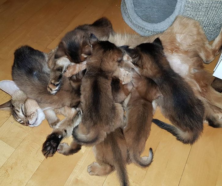 66a57a50ccb4ef103cf6fa3ae3