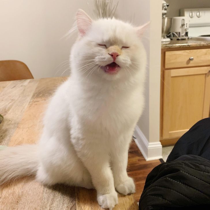 66b19f5e6d9d1ce3997670bbbe