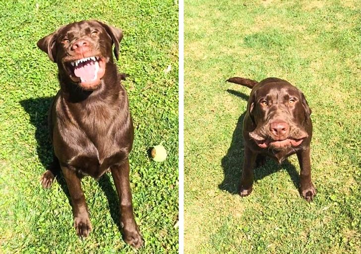 66b8b15239b32b61b6081847b7