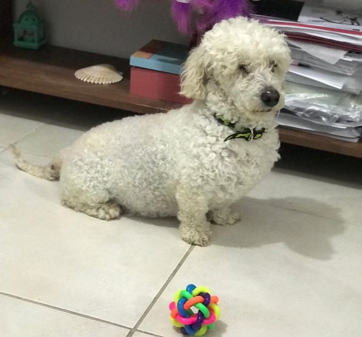 66bb015af3b4b2fe7324f5827a