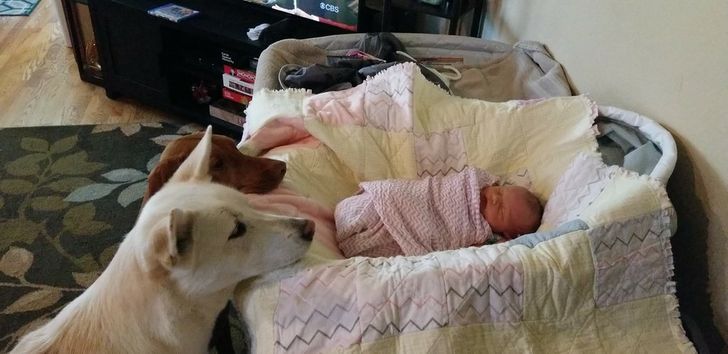 66cdbc5175bf609c637eb7157a