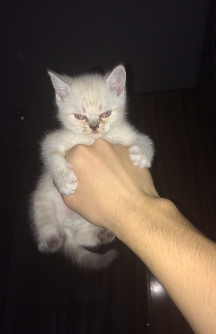 66d8055a43a892287fe8c96291