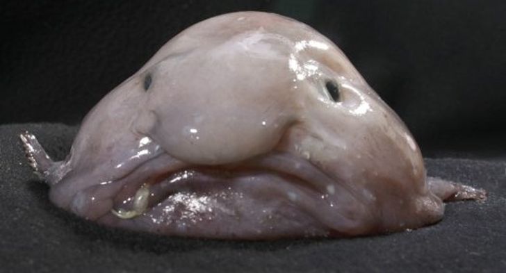 66deb85380a595bd510d11ce08