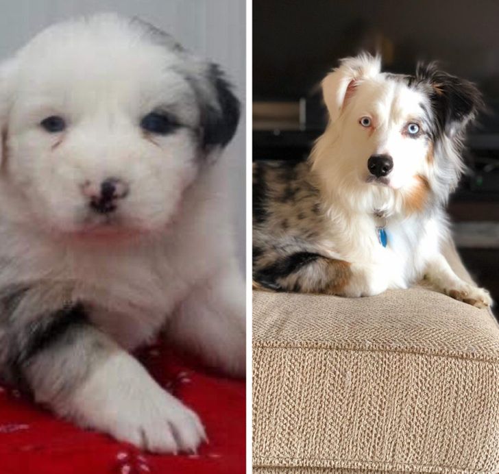 66e4805266b7d97d4a30d95226