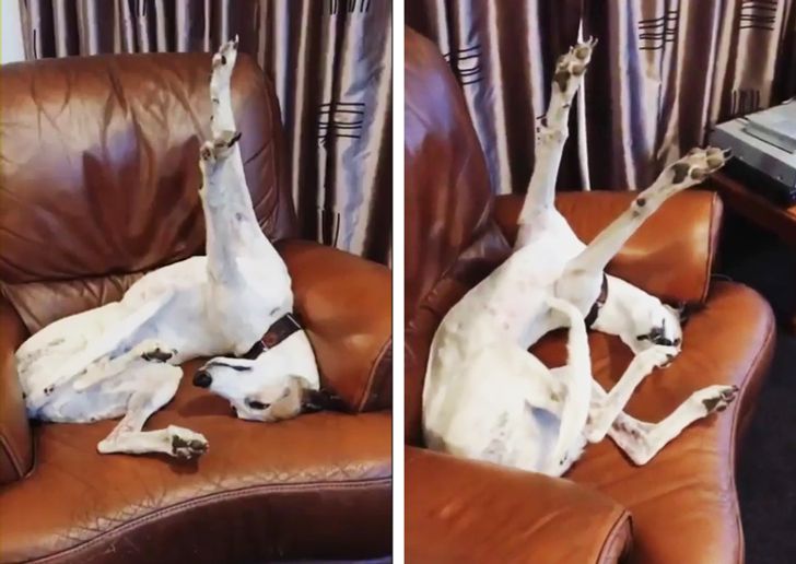 66e6e35b5ea1c758e3978d8928