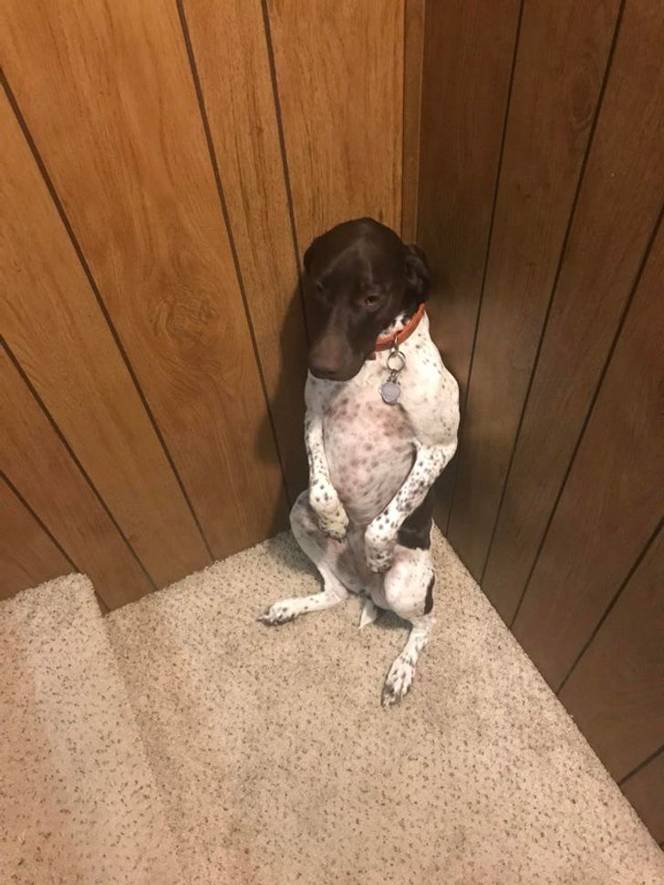 66e8a35f57a4551490e383c742