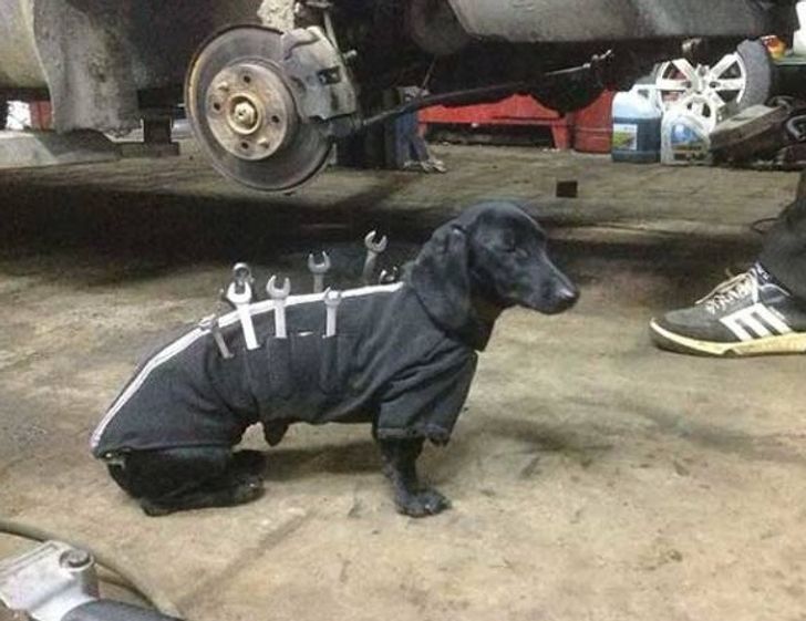 66e95d5bb28d6bff036d2fa092