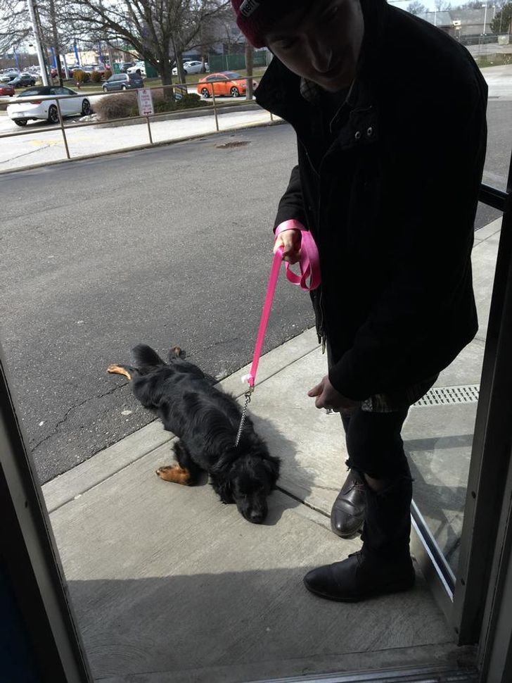 66e9cb5895bab739d0462da5ea