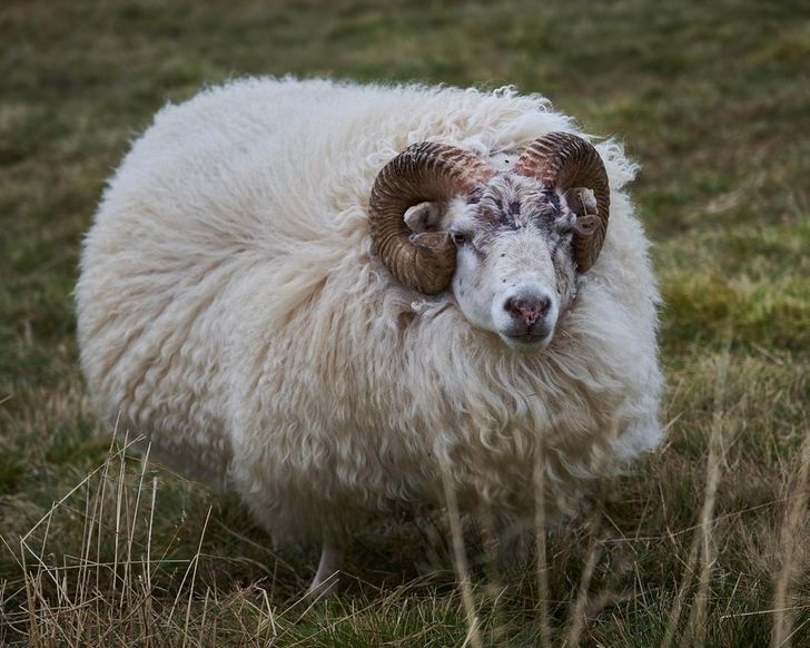 66eca250beb10066553da729f6