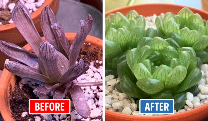 66edbc5281af758ab3ee0e798a