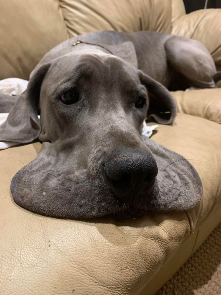 66f7605372a29210091c679621