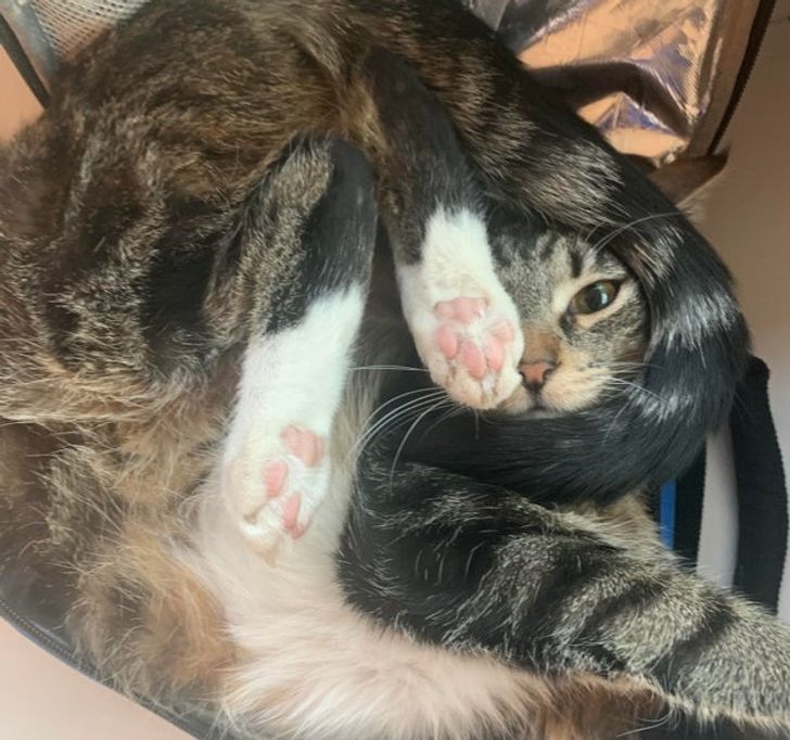 66fb995f6ba1c335476c76608a