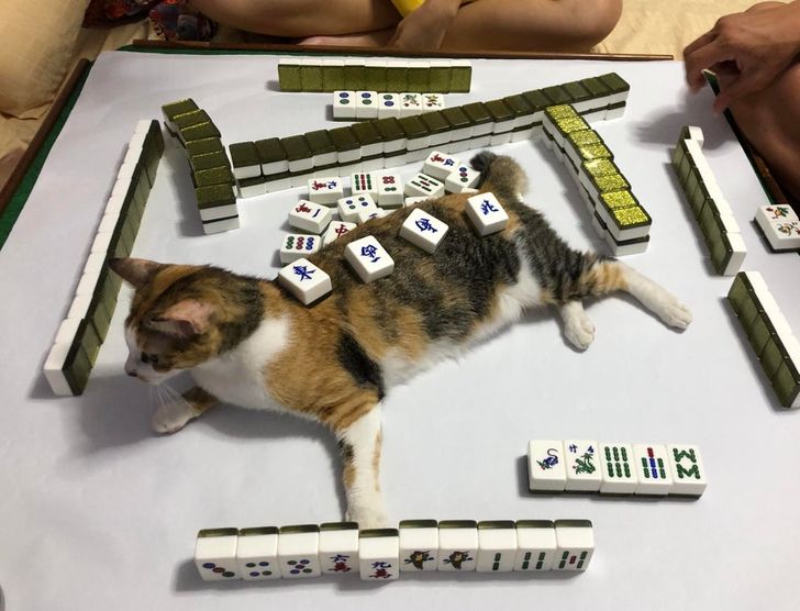 66fbfd5768b534838aeda08610