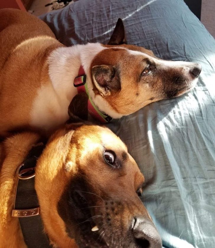 66ff4558828ecd222e0f50dda8