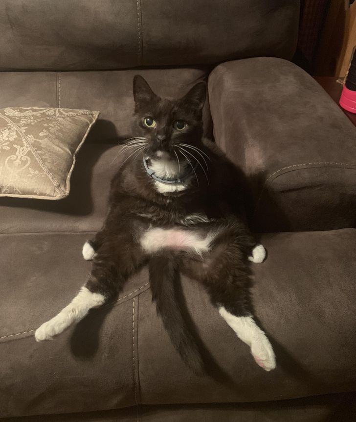 6703185b08b8a86ec0ab4e7524