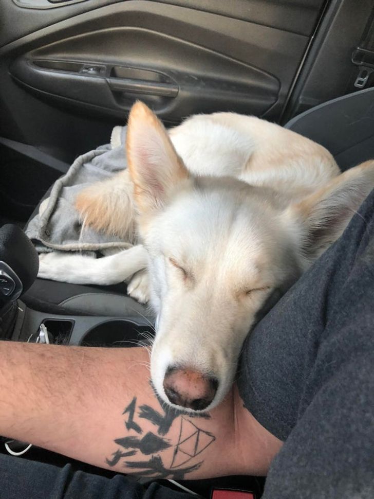 6704c25ed28170e0423520b9a4