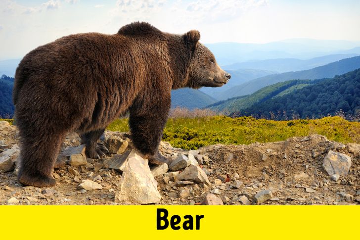 67056c5a6b8aff5ca4ec1ea8c8