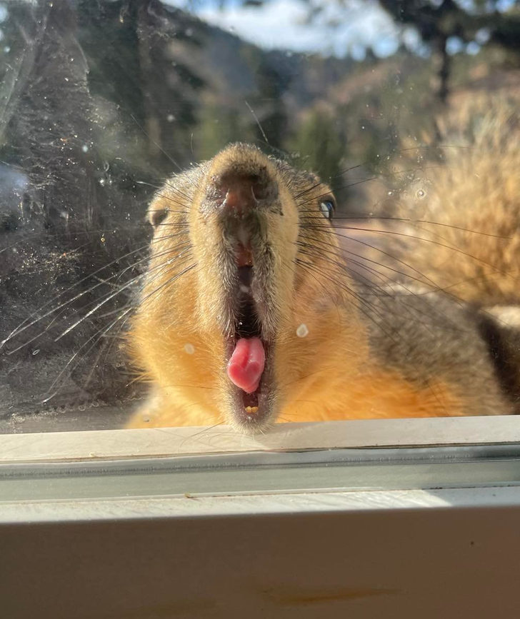 6712805f929531f0a32b065c6a