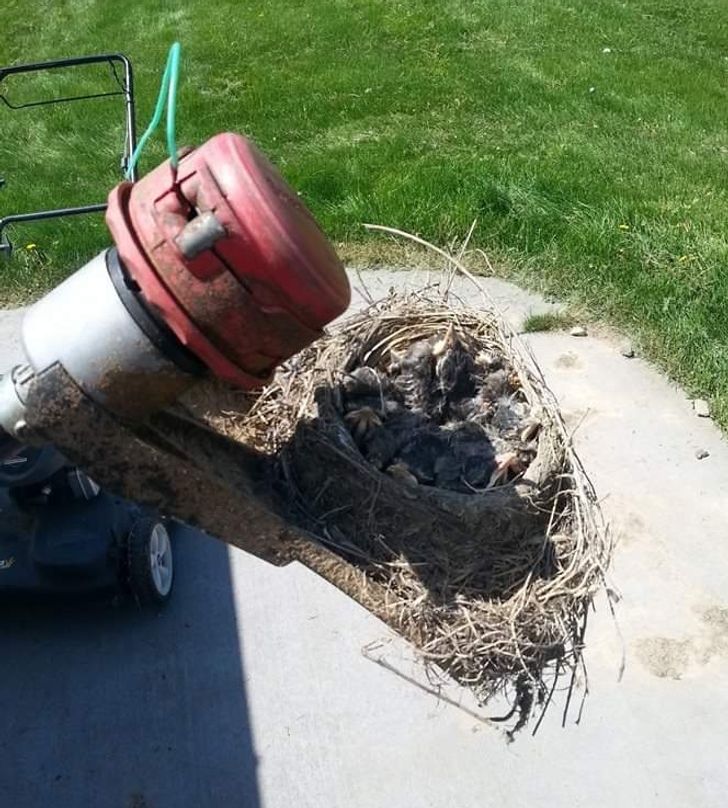 6714f6573aa2ce4adf965d20c5