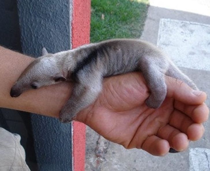 6719fc5f6b8ae114467207175c