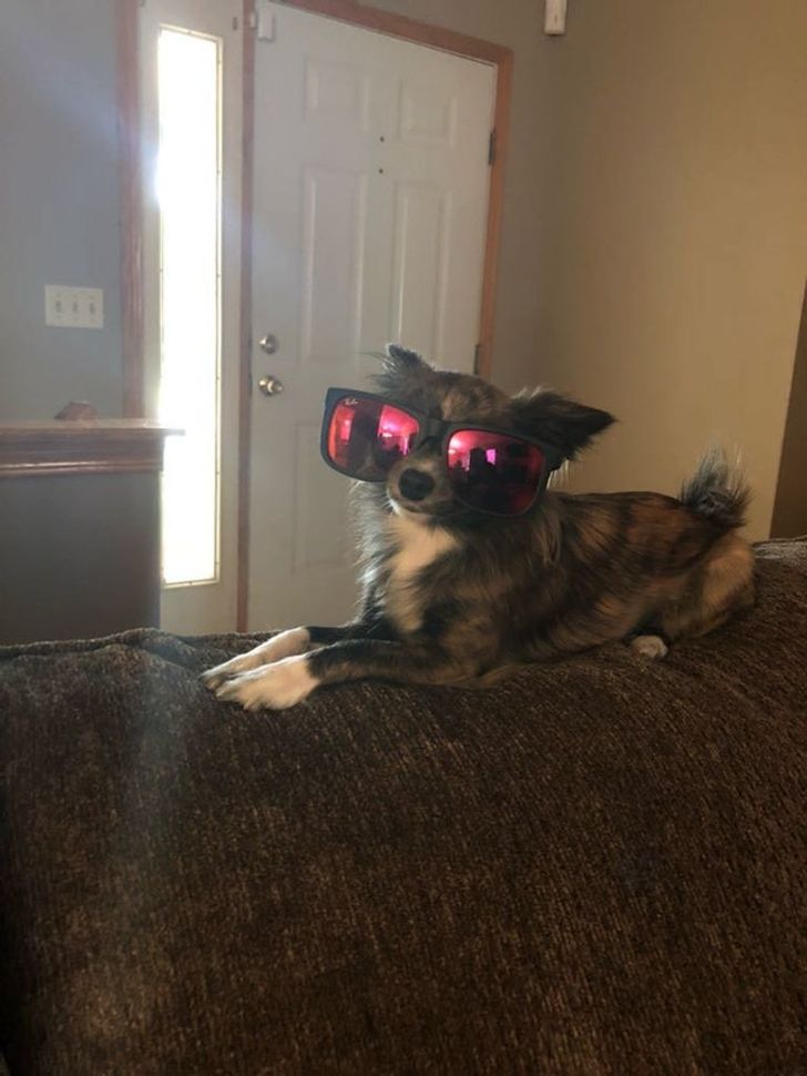 671a30560695d652d27ce88369