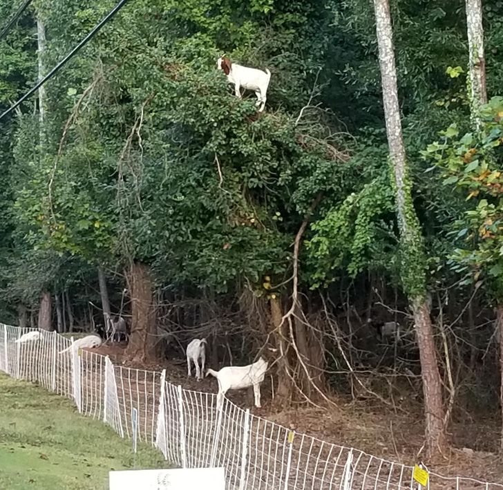 671b4650a181b46e5b99201162