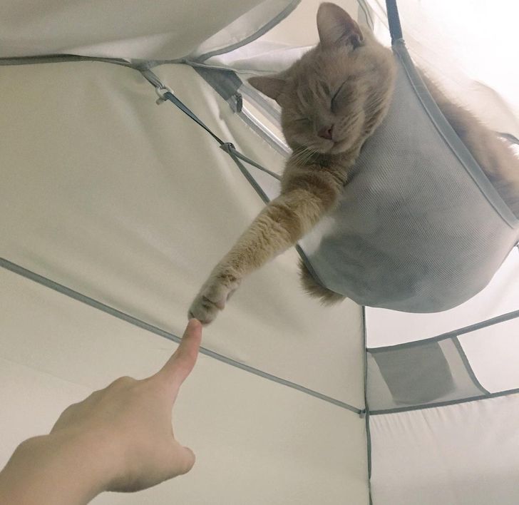 6721f65794949aed60064d14f4