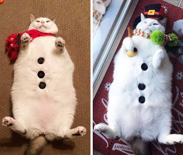 67251959a4b9b576795d174741