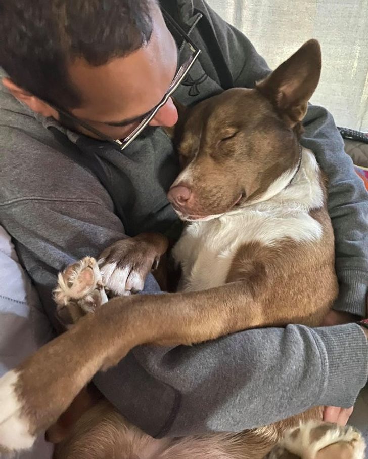 672952510e86886196112b4be7