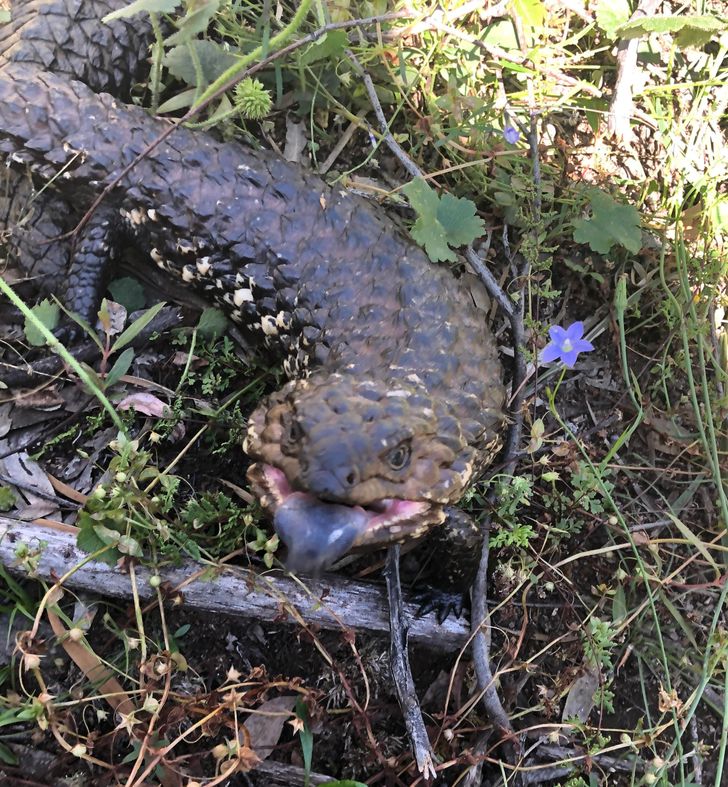 672ed1503a82a1f04115622cc9