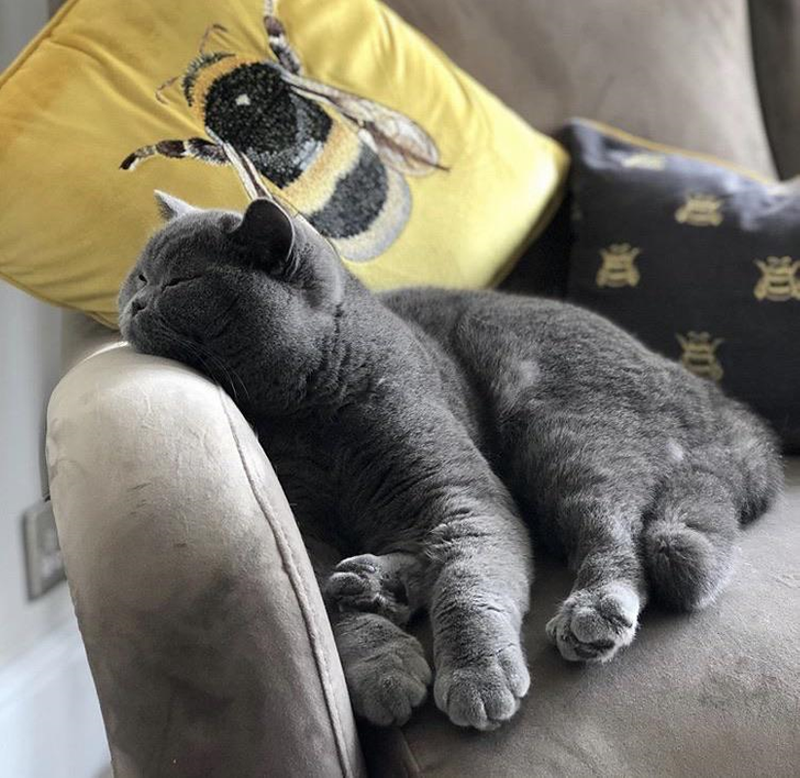 6731e358b09e4b54fa6f34dc77