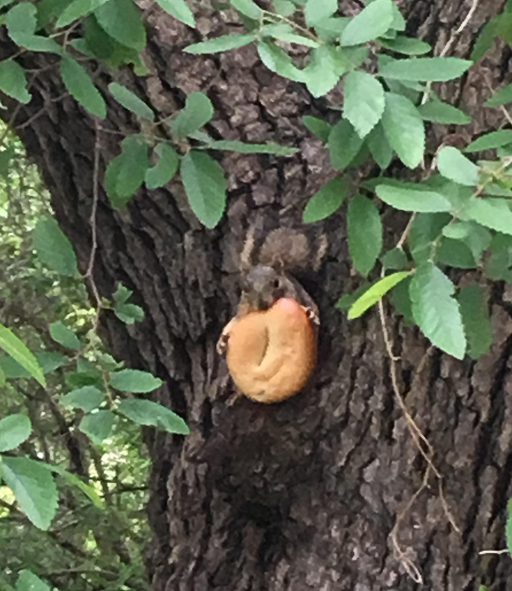 67323e5094ae10d583f19da86c