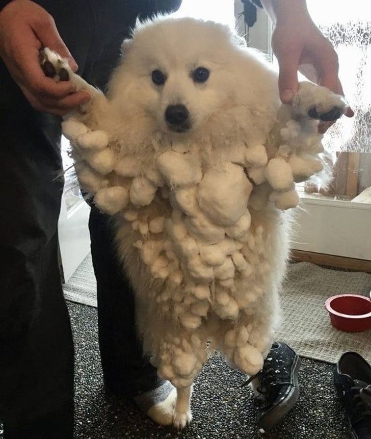 67331959a1997021180f178109