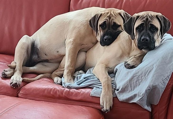 67332f5d6c97b1aa8ccd2a3cd1